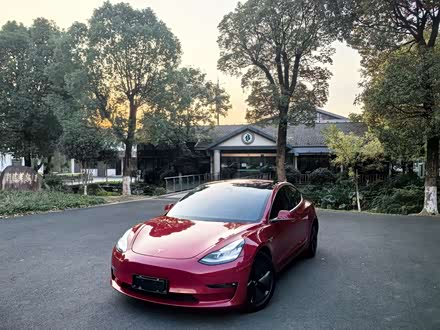 Model 3进口 2019款 长续航全轮驱动版