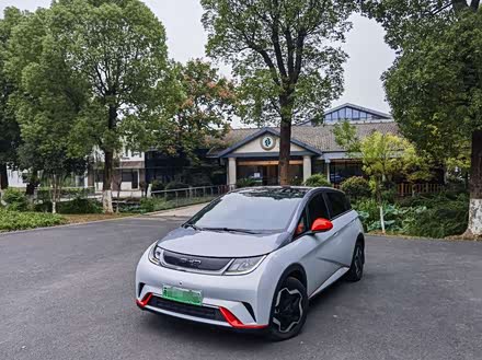 海豚 2021款 405km 时尚版