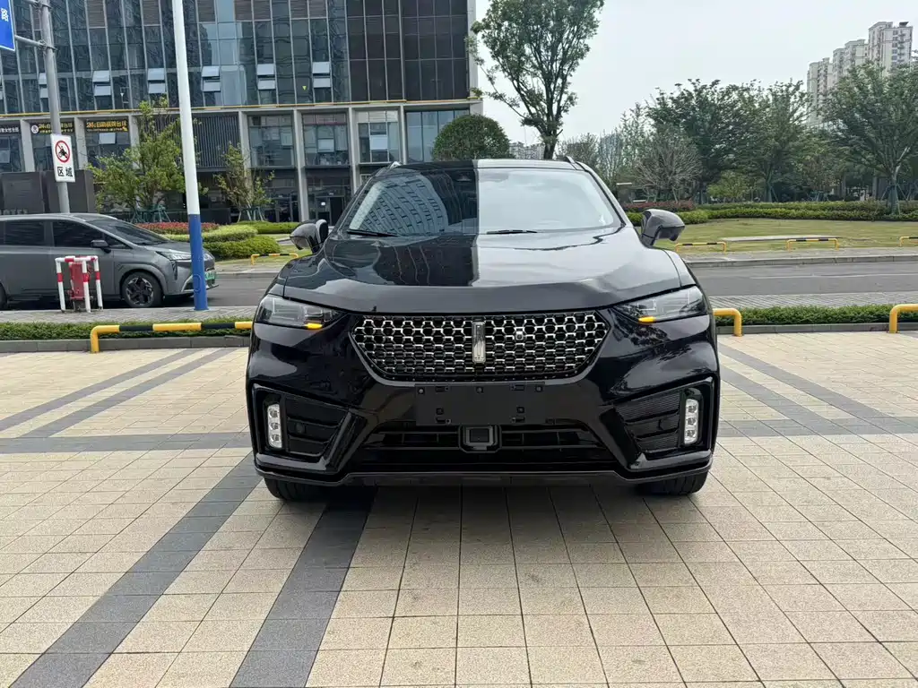 WEI PAI WEI BRAND VV7