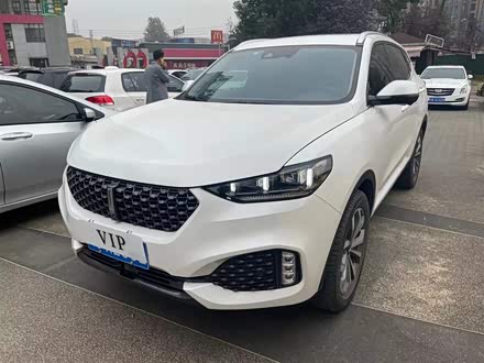 魏牌 VV6 2020款 2.0T 两驱智享+