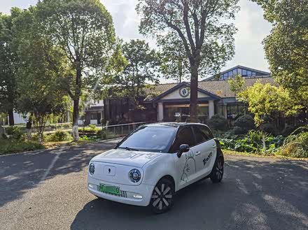 欧拉黑猫 2021款 351km 标准型