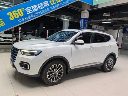 哈弗H6 2020款 2.0GDIT 自动铂金豪华版