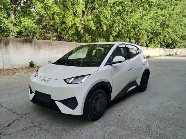 BYD SEAGULL 2025