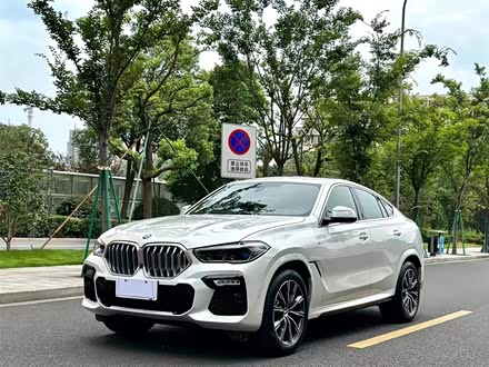 宝马X6 2021款 xDrive30i M运动套装