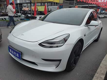 Model 3进口 2019款 长续航全轮驱动版