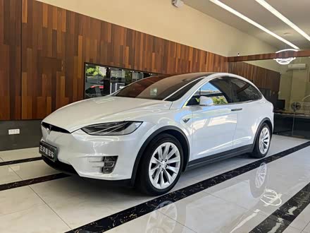 Model X 2017款 Model X 100D 长续航版