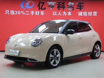 欧拉好猫 2021款 400km标准续航 维纳斯版 三元锂