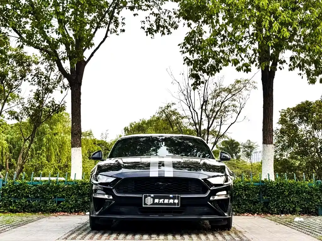 FORD MUSTANG