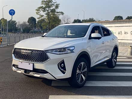 哈弗F7x 2021款 1.5T 两驱极智科技版