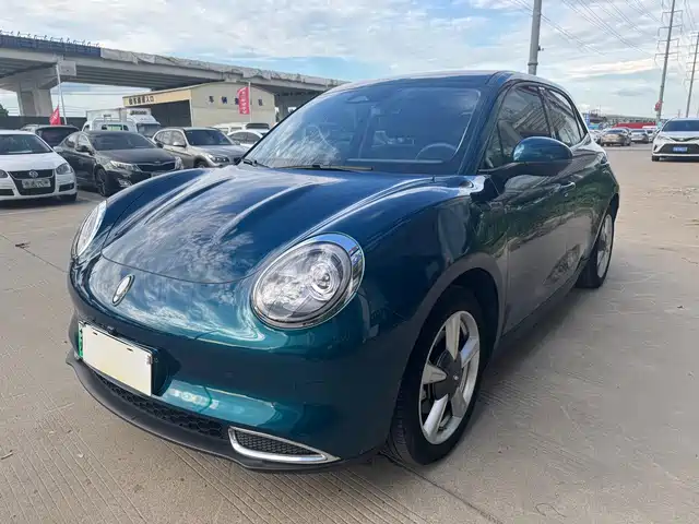 EULER  GOOD CAT 2023