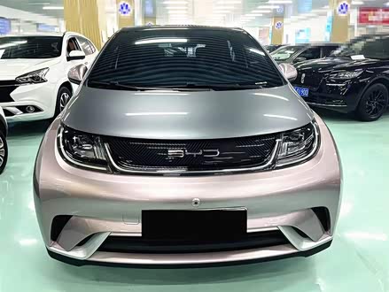 海豚 2021款 405km 时尚版