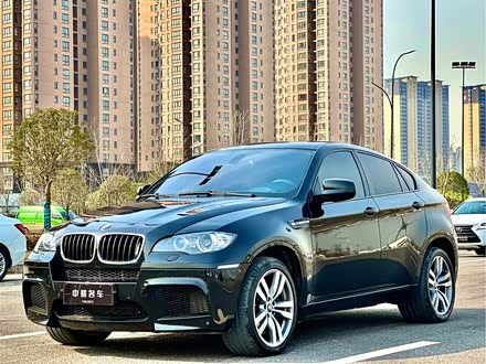 宝马X6 M 2010款 X6 M