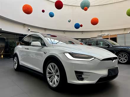 Model X 2020款 长续航升级版