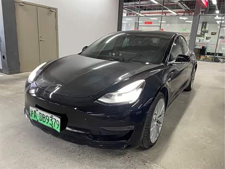 Model 3进口 2019款 长续航后驱版