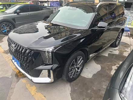 传祺GS8 2022款 双擎系列 2.0TM 两驱尊贵版 （七座）
