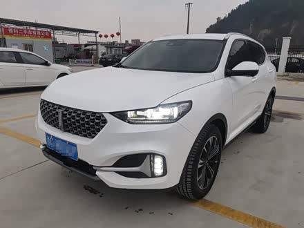 魏牌 VV6 2021款 2.0T 两驱智悦+