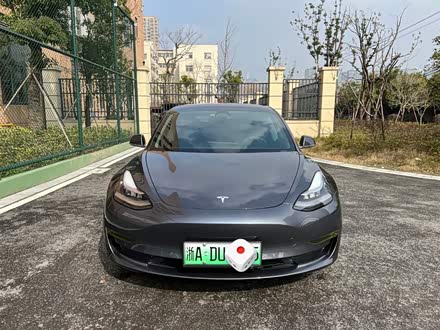 Model 3进口 2019款 长续航全轮驱动版