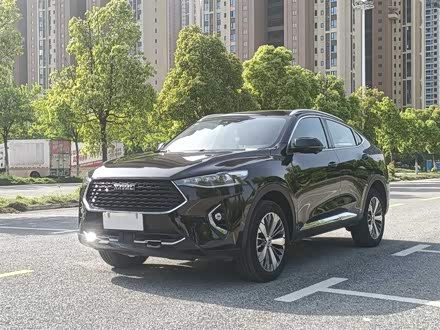 哈弗F7x 2019款 2.0T 四驱极智运动版