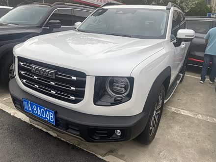 哈弗大狗 2021款 1.5T DCT两驱边牧版