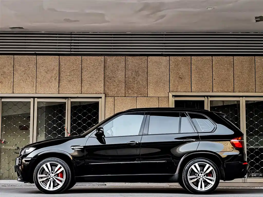 BMW X5 M 2010 X5 M