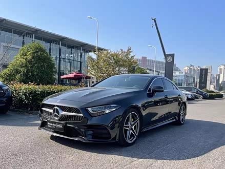 奔驰CLS 2020款 CLS 300 豪华型