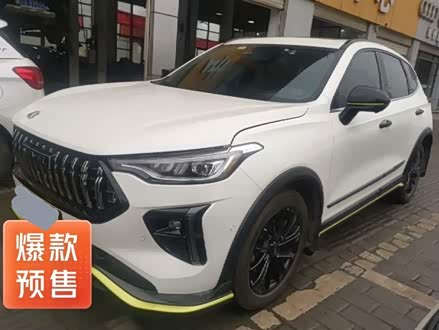 哈弗赤兔 2021款 激擎版 1.5T 黄金兔