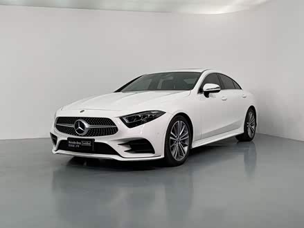 奔驰CLS 2020款 CLS 300 豪华型