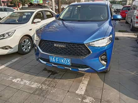 哈弗F7x 2019款 2.0T 两驱极智潮玩版