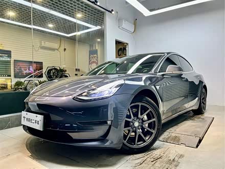 Model 3进口 2019款 长续航后驱版