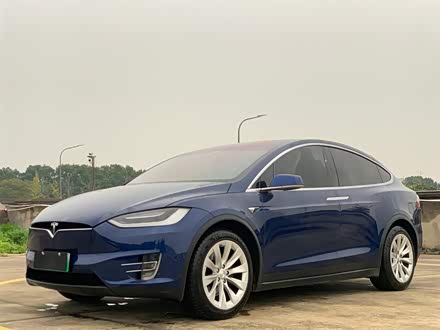 Model X 2017款 Model X 100D 长续航版