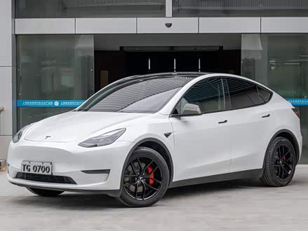 Model Y 2021款 标准续航后驱版