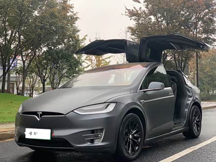 Model X 2017款 Model X 100D 长续航版