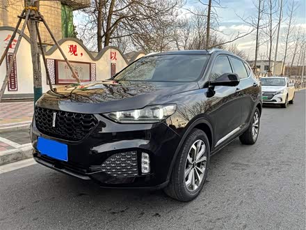 魏牌 VV6 2020款 2.0T 两驱智享+