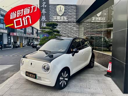 欧拉黑猫 2019款 351km 灵趣版