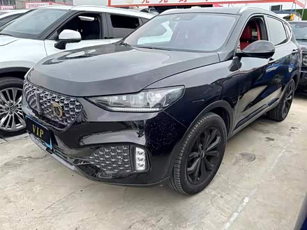 魏牌 VV6 2020款 2.0T 两驱智护+