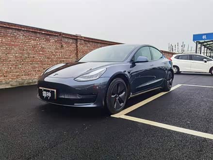 Model 3(进口) 2019款 长续航后驱版