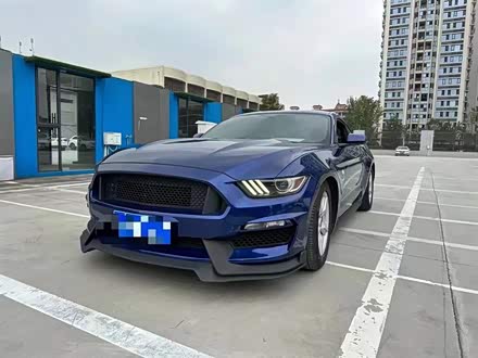 Mustang 2015款 2.3T 50周年纪念版