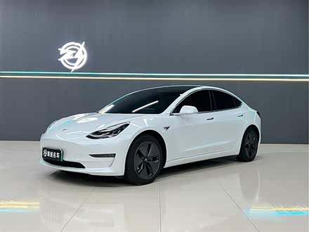 Model 3进口 2019款 长续航全轮驱动版