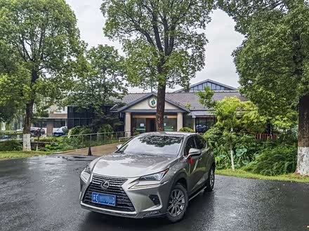 雷克萨斯NX 2018款 300 前驱 锋行版