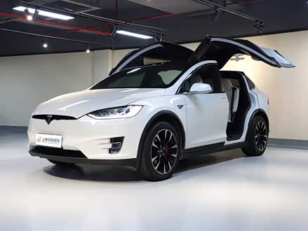 Model X 2020款 Performance 高性能版