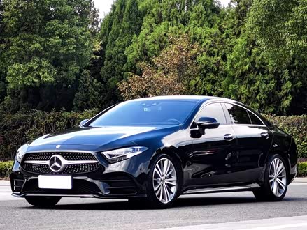 奔驰CLS 2018款 CLS 300 豪华型