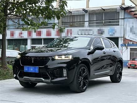 魏牌 VV7 2019款 升级款 2.0T 旗舰型 国V