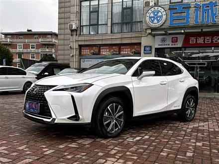 雷克萨斯UX新能源 2020款 300e 纯·享版
