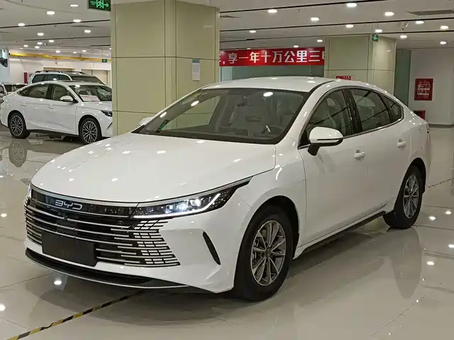 BYD DESTROYER 05 2025