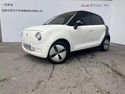 欧拉黑猫 2021款 301km 基础型