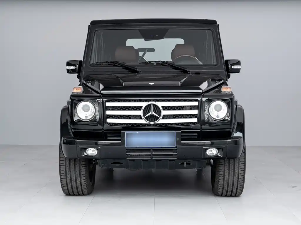 Mercedes-Benz G-Class G 2009 G 500
