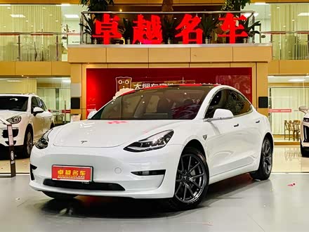 Model 3(进口) 2019款 标准续航后驱升级版
