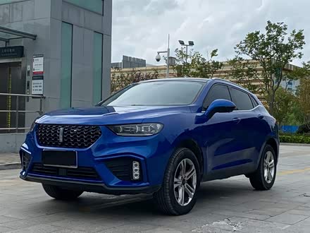 魏牌 VV5 2020款 1.5T 两驱颜先锋