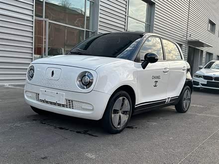 欧拉黑猫 2022款 301km 基础型 三元锂