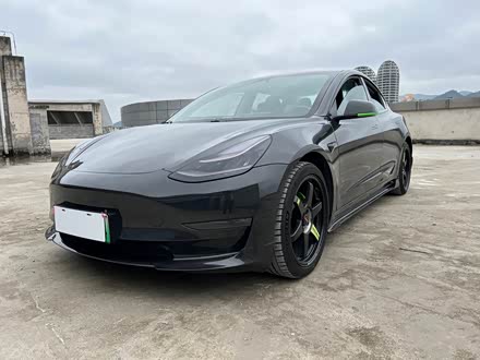 Model 3进口 2019款 长续航后驱版